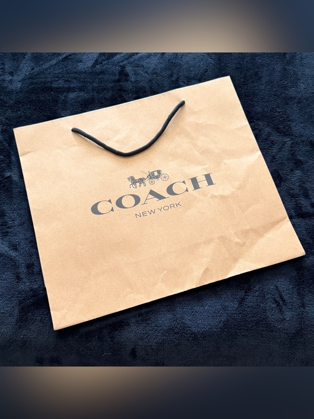 Coach Paper Gift Bag Shopping Bag